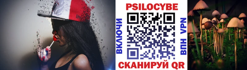 Псилоцибиновые грибы Psilocybine cubensis  Чекалин 
