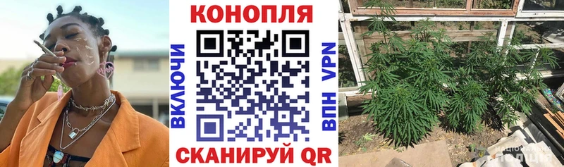 Шишки марихуана Bruce Banner  купить закладку  Чекалин 